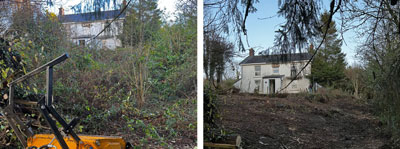 Before and After: Large garden cleared of brambles and overgrown vegetation