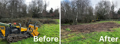 Before and After: Steep land taken back from overgrown brambles